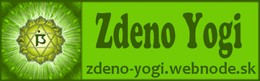 Zdeno Yogi