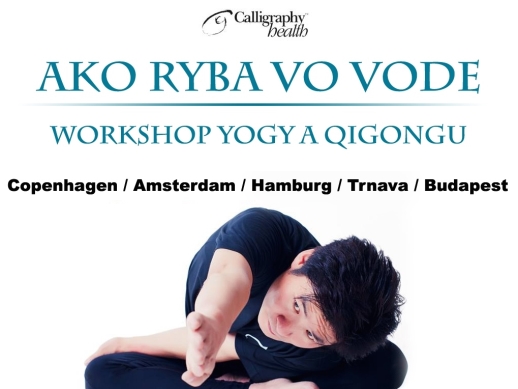 Medzinrodn workshop jogy a qigongu  nsky Majster Yang na Slovensku!
