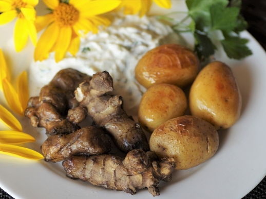Topinambury  lahodn zdroj ivn poas zimy
